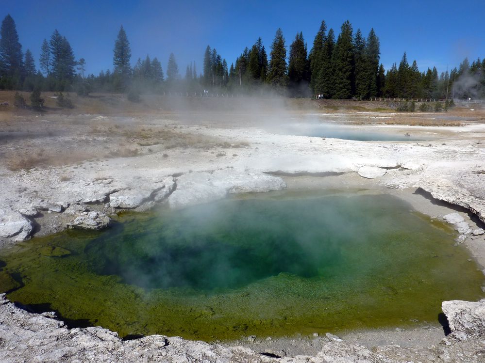 Yellowstone West Thumb Area (44).JPG